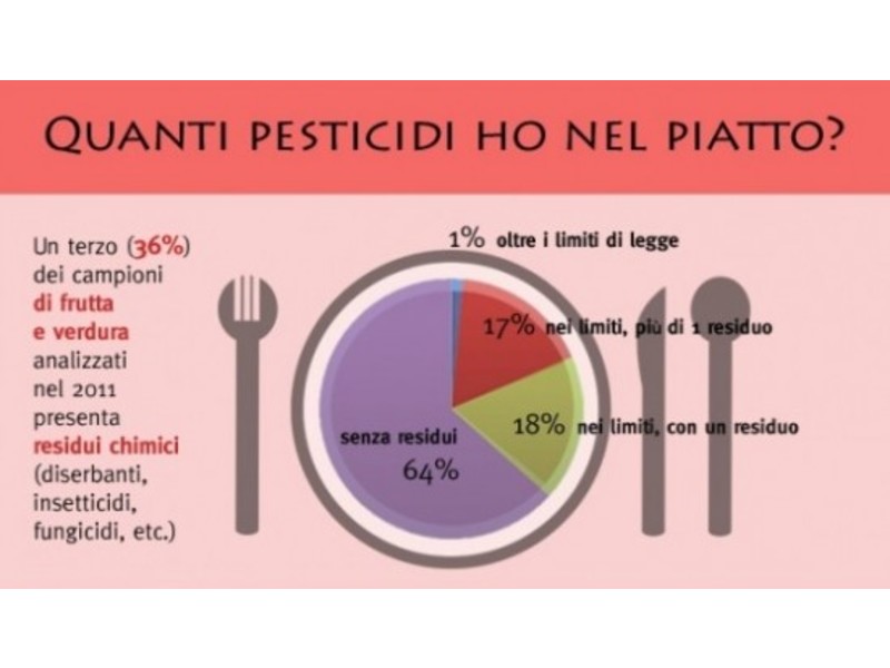 Associazione Consumatori