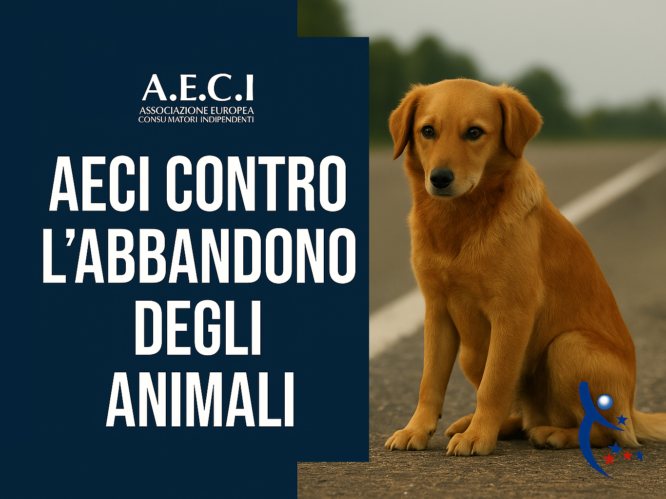 Associazione Consumatori