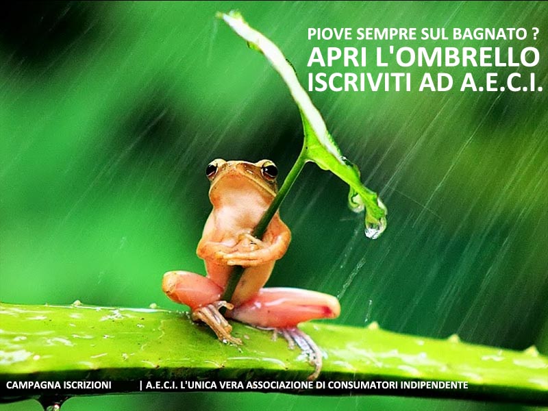 Associazione Consumatori